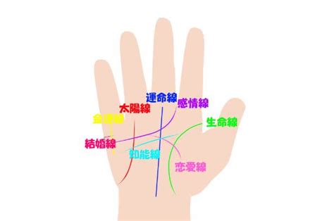 指相|線だけじゃない！手相における指の形や長さの意味 